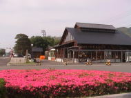 道の駅　紀宝　ウミガメ公園