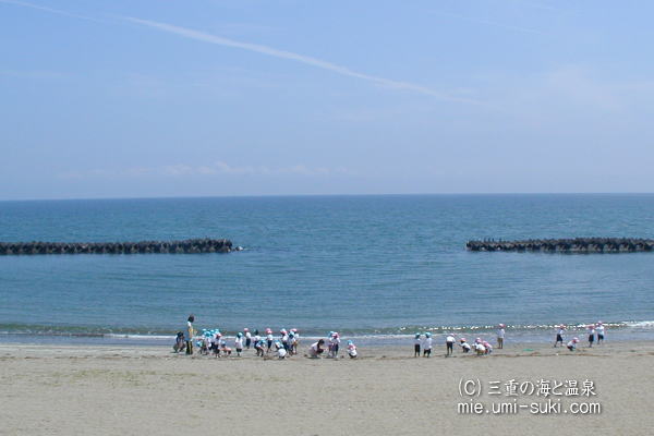 大淀海岸の写真