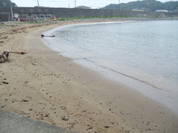 船越浜海水浴場の写真1